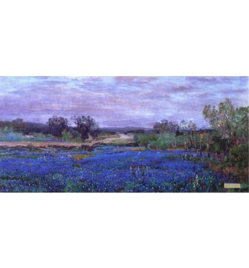 Blue Bonnets At Twilight 2