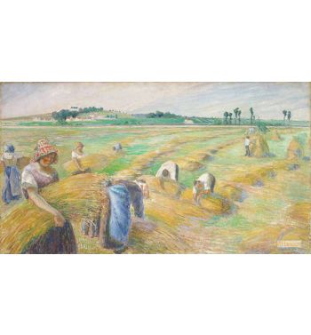 The Harvest