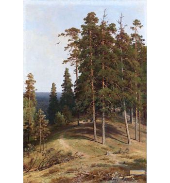 The Pine Forest 1895