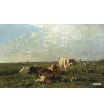 Cattle At Pasture