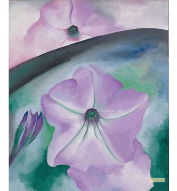 Petunia No, 2 1924