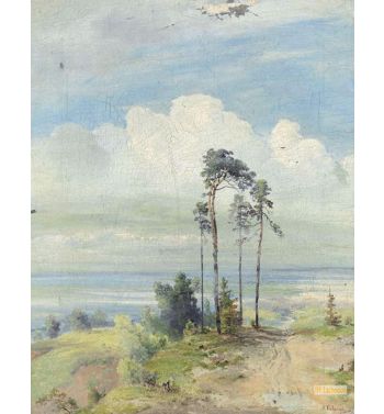 Summer 1880S