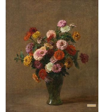 Zinnias