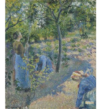 Picking Apples