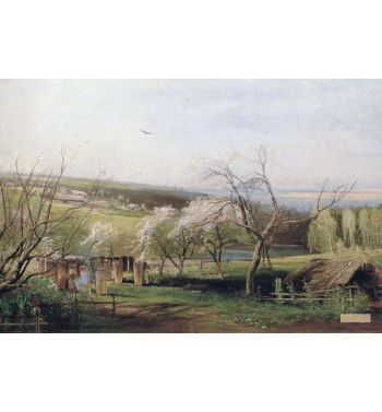 Rustic View