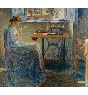Seamstress's Novel