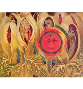 Sun And Life
