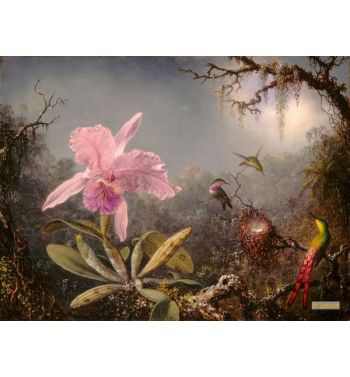 Cattleya Orchid And Three Hummingbirds