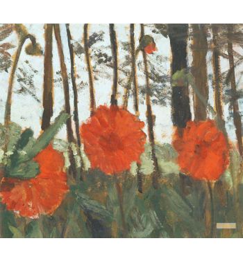 Poppies On The Edge Of A Wood