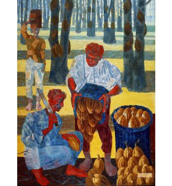 Cocoa Harvest, 1954