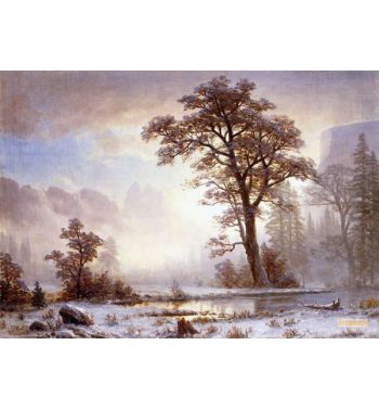 Valley Of The Yosemite Snow Fall