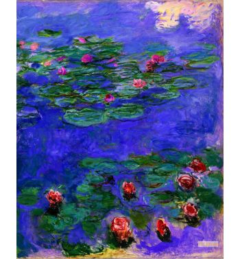 Red Water Lilies 1908