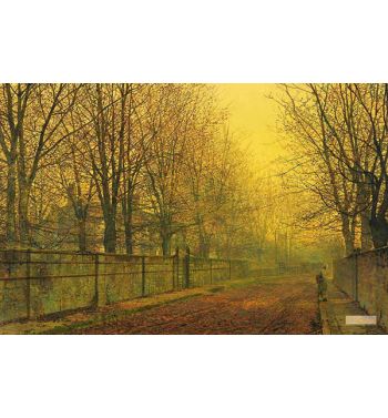 In The Golden Glow Of Autumn