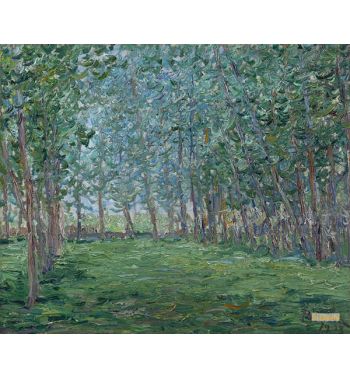 Champ Près d'Un Bois