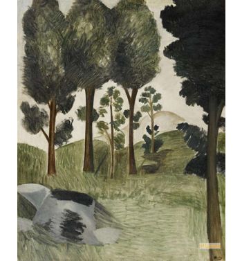 Tall Trees