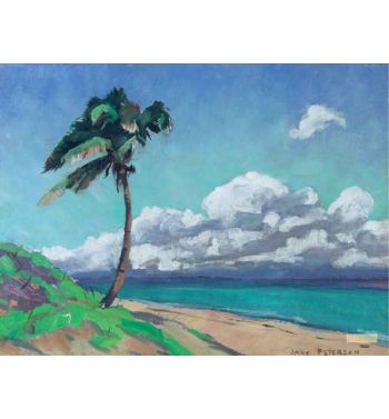 A Lone Palm Tree Palm Beach