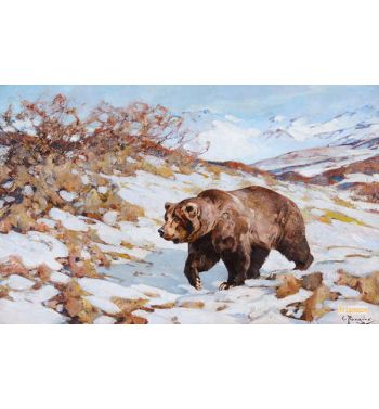 Alaskan Brown Bear