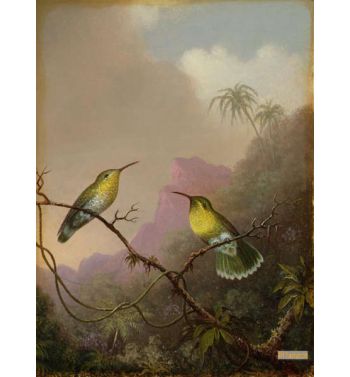 Two Hummingbirds C1865 75