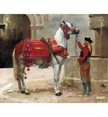 An Andalusian Horse And Rider