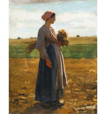 Jeune Femme Dans Les Champs
