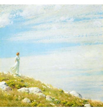 A Breezy Day
