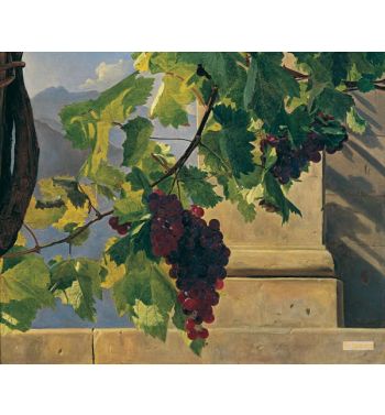 Grape Hanger