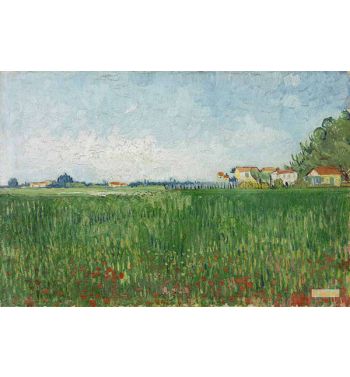 Field With Poppies Near Arles