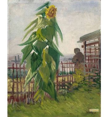 The Garden With Sunflower