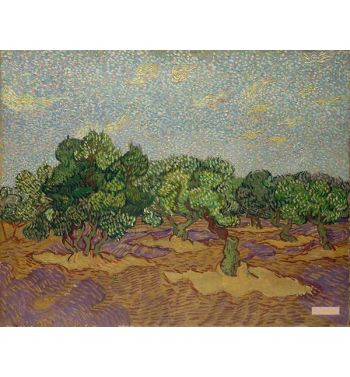 Olive Trees 1889