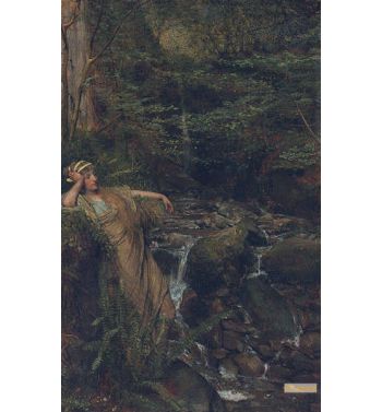 Waterfall Nymph