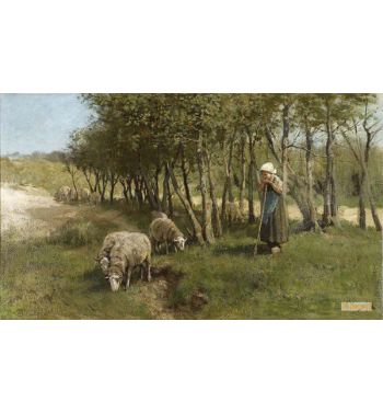 Dekkers Dune