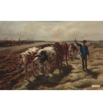 Charrue A Boeufs 1875