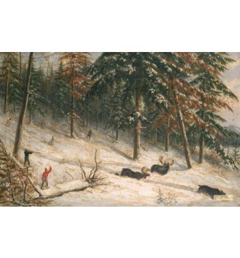 Hunting Moose