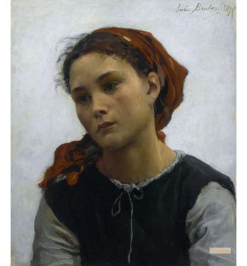 Innocente