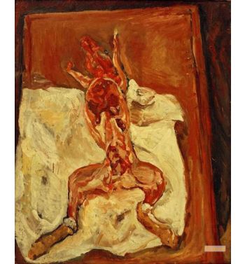 The Rabbit Ecorche