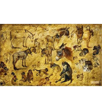 Studies Of Animals (Donkeys Cats And Monkeys)