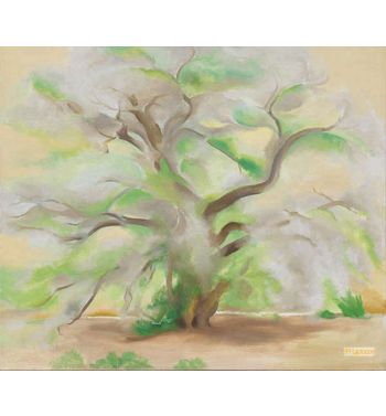 Cottonwoods Near Abiquiu 1950