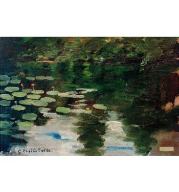 Water Lilies On The Pond