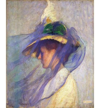 The Blue Veil 1899