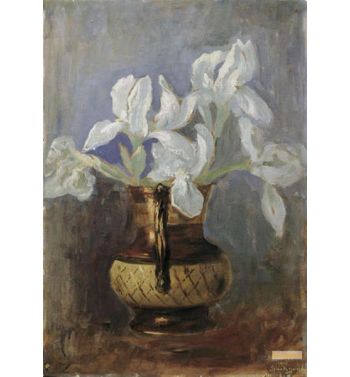 White Iris Bluets In One