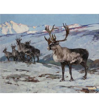 Patriarch of the Herd