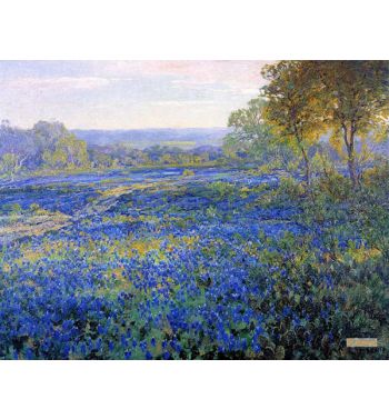 Fields Of Bluebonnets