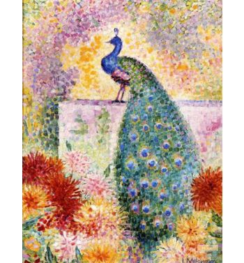 In Peacock 1906