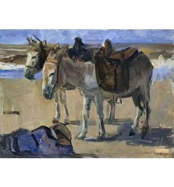 Two Donkeys