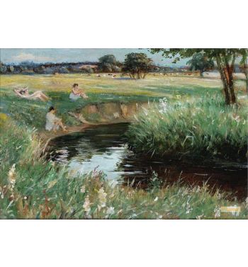 Meadow Sweet