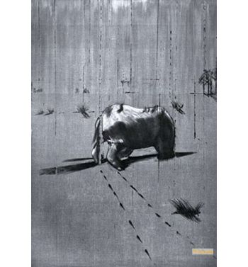 Rhinoceros