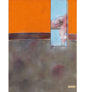 Study of the Human Body