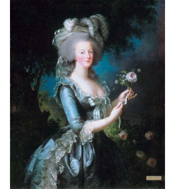 Marie Antoinette Dit À La Rose