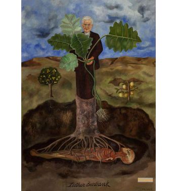 Lutherburbank