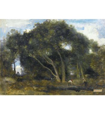 Fontainebleau Chênes Inclined In A Forest Light